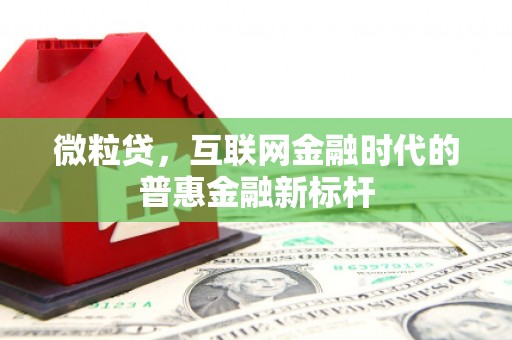 会理微粒贷，互联网金融时代的普惠金融新标杆
