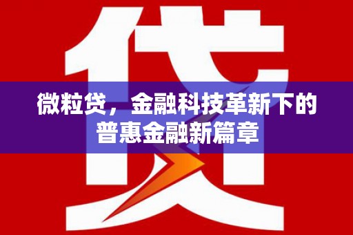 会理微粒贷，金融科技革新下的普惠金融新篇章