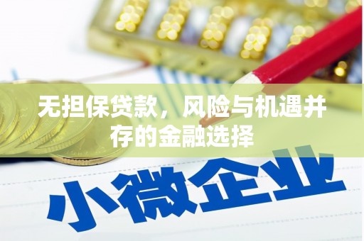 会理无担保贷款，风险与机遇并存的金融选择