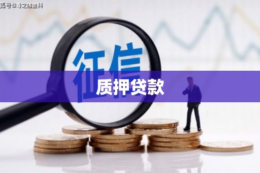 会理质押贷款