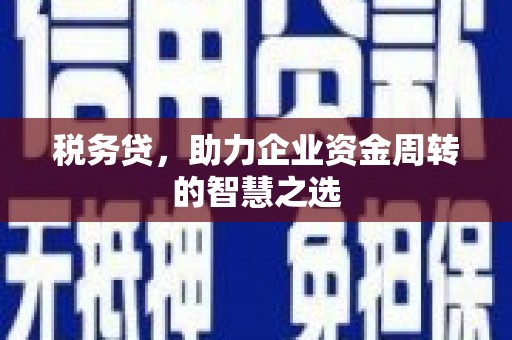 会理税务贷，助力企业资金周转的智慧之选