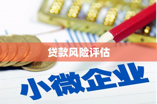 会理贷款风险评估
