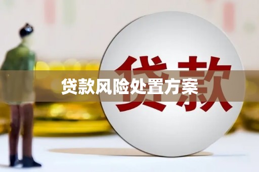 会理贷款风险处置方案