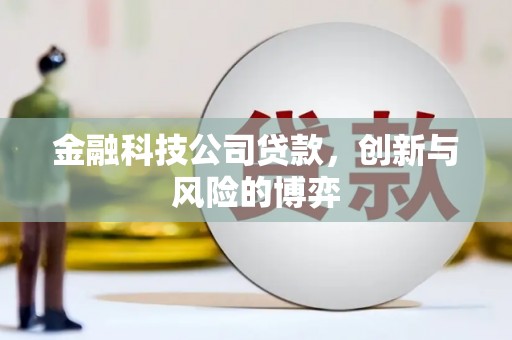 会理金融科技公司贷款，创新与风险的博弈