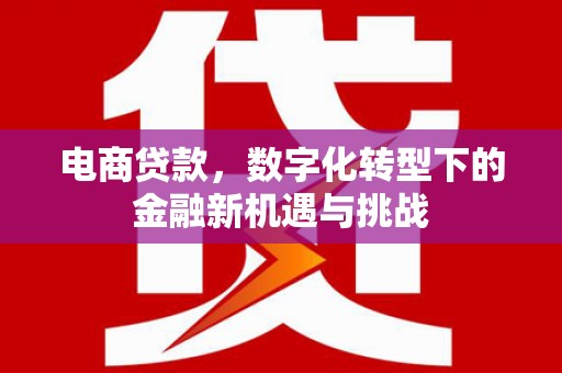 会理电商贷款，数字化转型下的金融新机遇与挑战