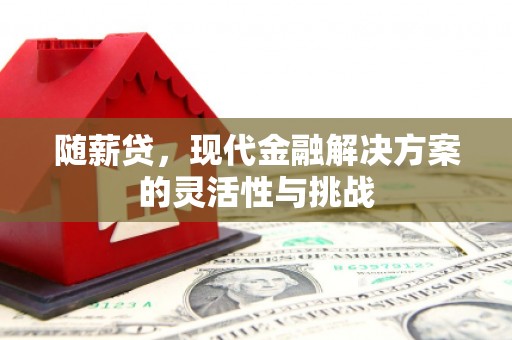 会理随薪贷，现代金融解决方案的灵活性与挑战