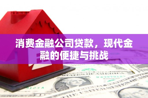 会理消费金融公司贷款，现代金融的便捷与挑战