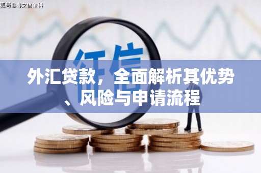 会理外汇贷款，全面解析其优势、风险与申请流程
