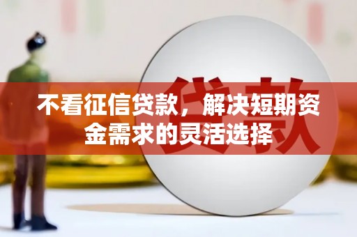 会理不看征信贷款，解决短期资金需求的灵活选择