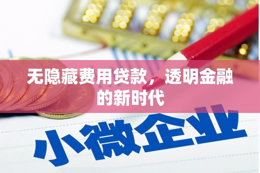 会理无隐藏费用贷款，透明金融的新时代