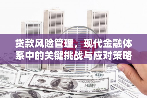 会理贷款风险管理，现代金融体系中的关键挑战与应对策略