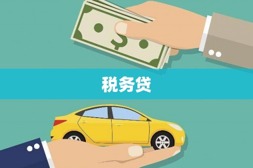 会理税务贷