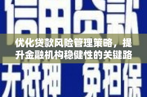 会理优化贷款风险管理策略，提升金融机构稳健性的关键路径
