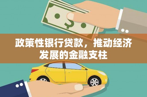会理政策性银行贷款，推动经济发展的金融支柱