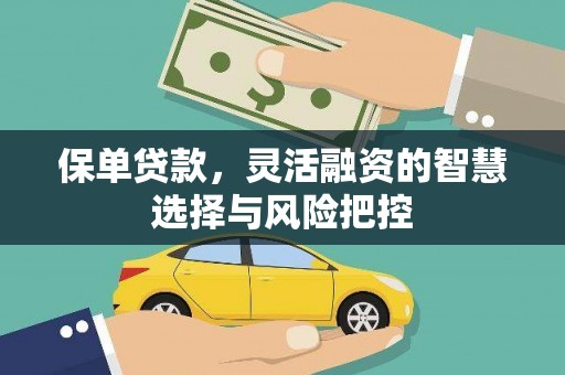 会理保单贷款，灵活融资的智慧选择与风险把控