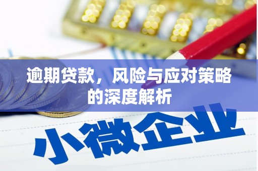 会理逾期贷款，风险与应对策略的深度解析