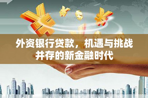 会理外资银行贷款，机遇与挑战并存的新金融时代
