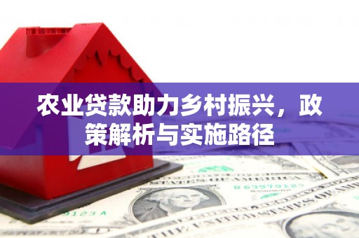 会理农业贷款助力乡村振兴，政策解析与实施路径