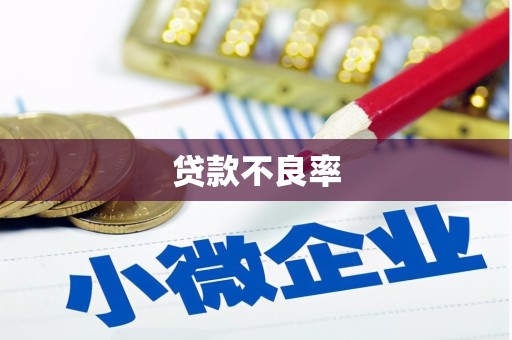 会理贷款不良率