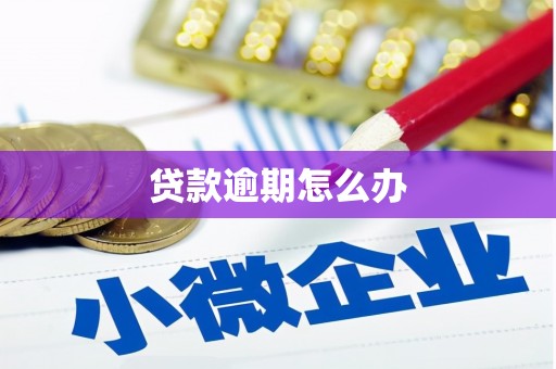 会理贷款逾期怎么办