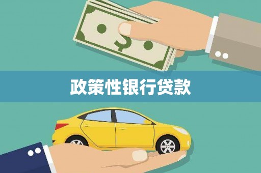 会理政策性银行贷款