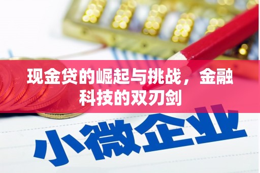 会理现金贷的崛起与挑战，金融科技的双刃剑