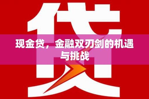 会理现金贷，金融双刃剑的机遇与挑战