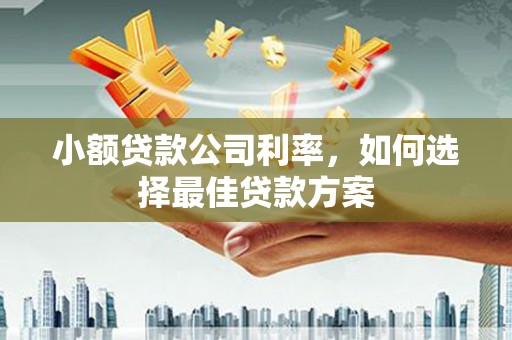 会理小额贷款公司利率，如何选择最佳贷款方案