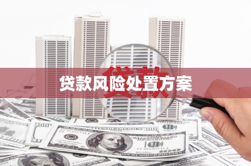 会理贷款风险处置方案