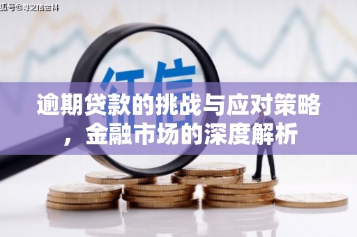 会理逾期贷款的挑战与应对策略，金融市场的深度解析