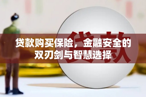 会理贷款购买保险，金融安全的双刃剑与智慧选择