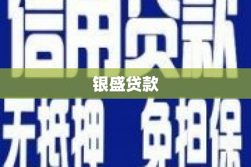会理银盛贷款