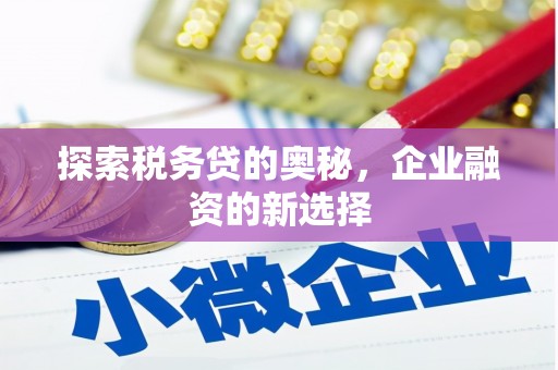 会理探索税务贷的奥秘，企业融资的新选择