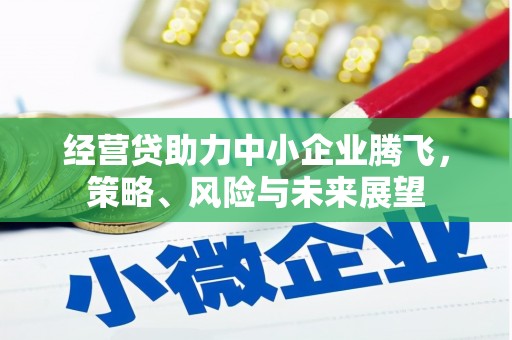 会理经营贷助力中小企业腾飞，策略、风险与未来展望