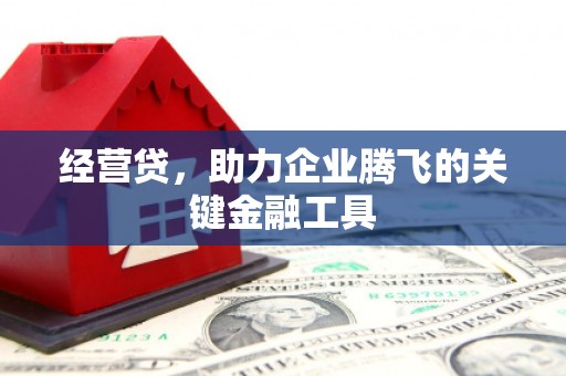 会理经营贷，助力企业腾飞的关键金融工具