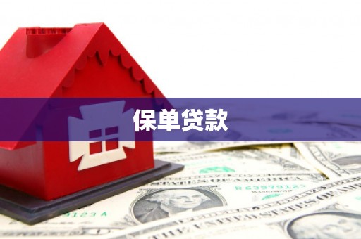 会理保单贷款