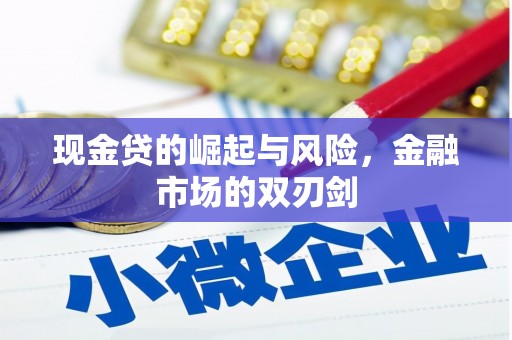 会理现金贷的崛起与风险，金融市场的双刃剑