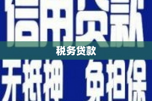 会理税务贷款