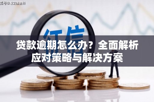 会理贷款逾期怎么办？全面解析应对策略与解决方案