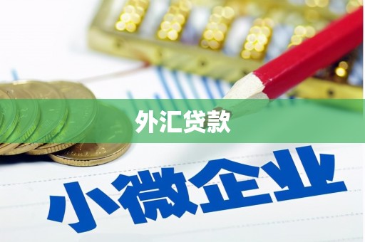 会理外汇贷款
