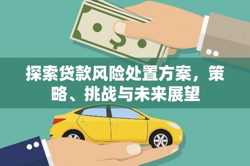会理探索贷款风险处置方案，策略、挑战与未来展望