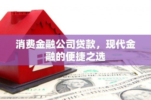 会理消费金融公司贷款，现代金融的便捷之选