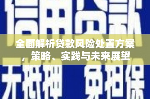 会理全面解析贷款风险处置方案，策略、实践与未来展望
