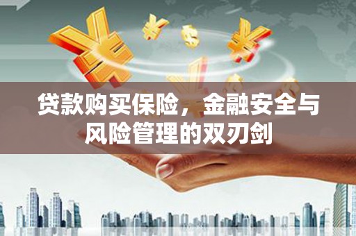 会理贷款购买保险，金融安全与风险管理的双刃剑