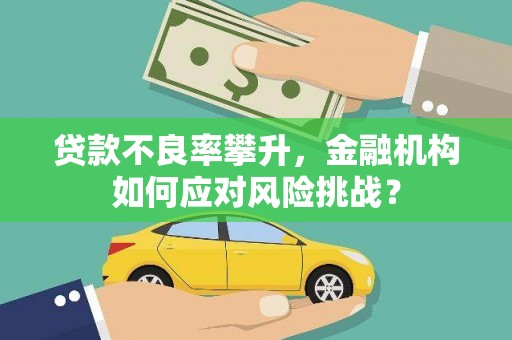 会理贷款不良率攀升，金融机构如何应对风险挑战？