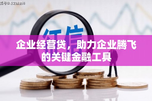 会理企业经营贷，助力企业腾飞的关键金融工具