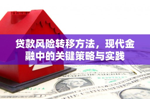 会理贷款风险转移方法，现代金融中的关键策略与实践