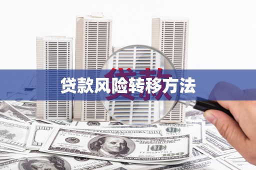 会理贷款风险转移方法