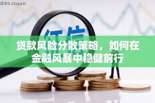 会理贷款风险分散策略，如何在金融风暴中稳健前行