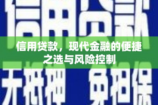 会理信用贷款，现代金融的便捷之选与风险控制